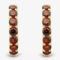 Womens Genuine Red Garnet 14K Gold Over Silver 14.7mm Round Hoop Earrings