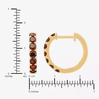 Womens Genuine Red Garnet 14K Gold Over Silver 14.7mm Round Hoop Earrings