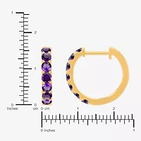 Womens Genuine Purple Amethyst 14K Gold Over Silver 14.7mm Round Hoop Earrings