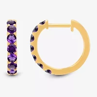 Womens Genuine Purple Amethyst 14K Gold Over Silver 14.7mm Round Hoop Earrings