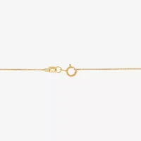 Womens 1/10 CT. T.W. Genuine Purple Amethyst 14K Gold Over Silver Cushion 18 Inch Pendant Necklace