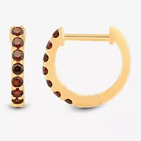 Womens Genuine Red Garnet 14K Gold Over Silver 10.3mm Round Hoop Earrings