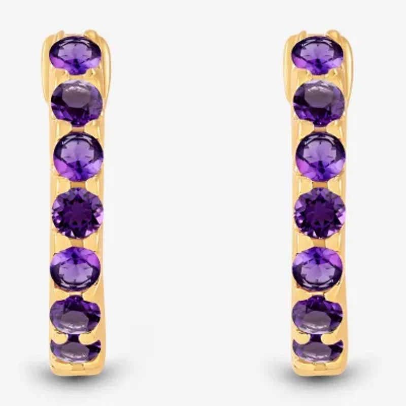 Womens Genuine Purple Amethyst 14K Gold Over Silver 10.3mm Round Hoop Earrings