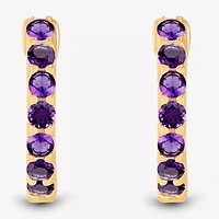 Womens Genuine Purple Amethyst 14K Gold Over Silver 10.3mm Round Hoop Earrings