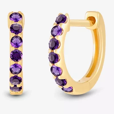 Womens Genuine Purple Amethyst 14K Gold Over Silver 10.3mm Round Hoop Earrings