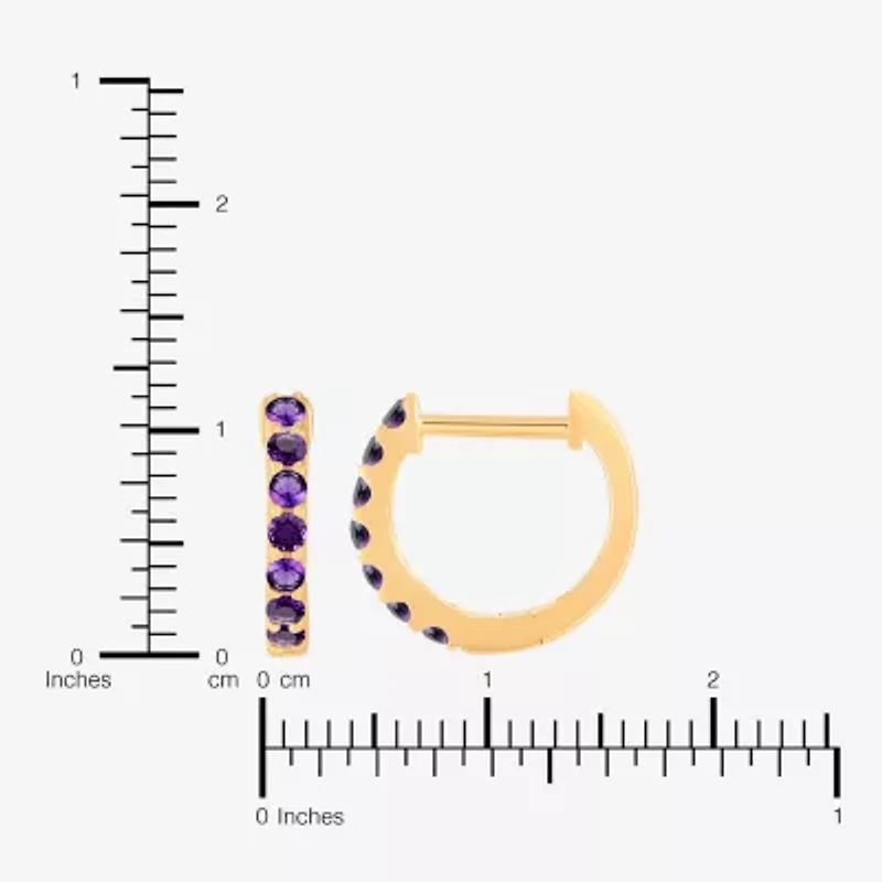 Womens Genuine Purple Amethyst 14K Gold Over Silver 10.3mm Round Hoop Earrings