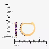 Womens Genuine Purple Amethyst 14K Gold Over Silver 10.3mm Round Hoop Earrings