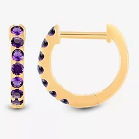 Womens Genuine Purple Amethyst 14K Gold Over Silver 10.3mm Round Hoop Earrings