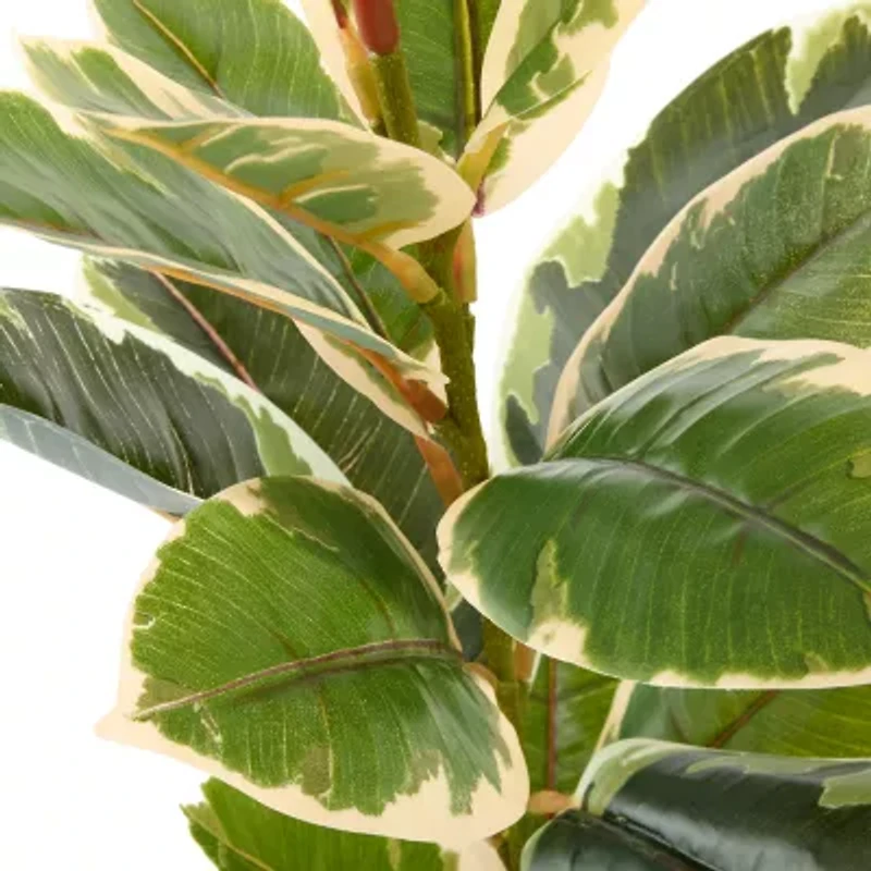 Linden Street 22in Varigated Rubber Artificial Plant