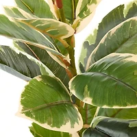 Linden Street 22in Varigated Rubber Artificial Plant