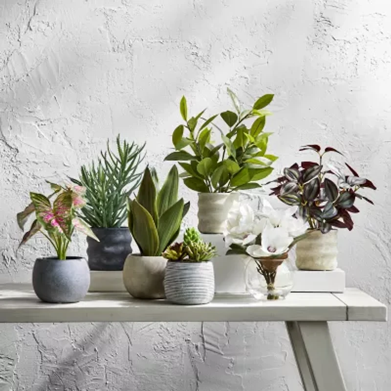 Linden Street 6in Mixed Succulent Artificial Plant
