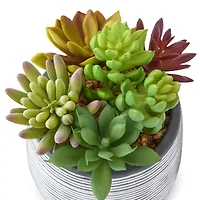 Linden Street 6in Mixed Succulent Artificial Plant