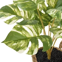 Linden Street 20in Varigated Monstera Artificial Plant