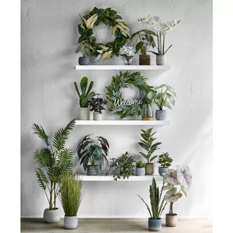 Linden Street 16.5in White Philodendron Artificial Plant