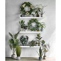 Linden Street 16.5in White Philodendron Artificial Plant