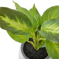 Linden Street 10in Golden Pothos Artificial Plant