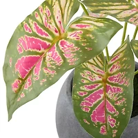 Linden Street 12in Pink Caladium Artificial Plant