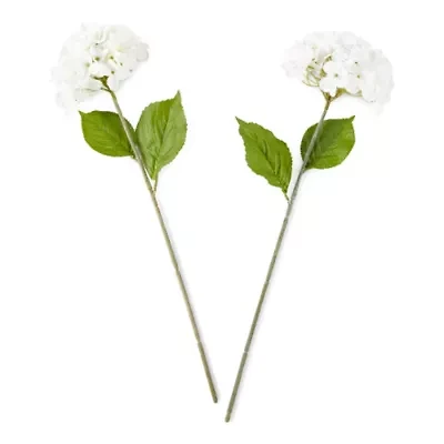 Linden Street 24" White Hydrangea 2-pc. Vase Filler