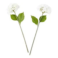 Linden Street 24" White Hydrangea 2-pc. Vase Filler