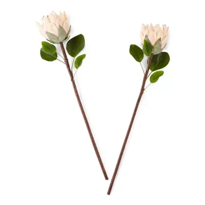 Distant Lands 26" Pink Protea 2-pc. Vase Filler