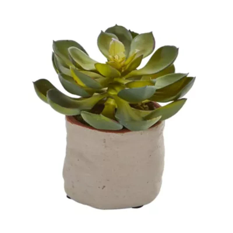 Mixed Succulent Artificial Plant (Set of 4)