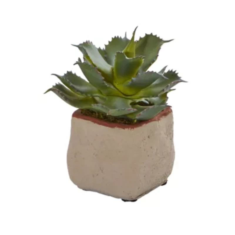 Mixed Succulent Artificial Plant (Set of 4)