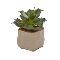 Mixed Succulent Artificial Plant (Set of 4)