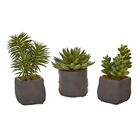 Mixed Succulent Trio Artificial Plant (Set of 3)