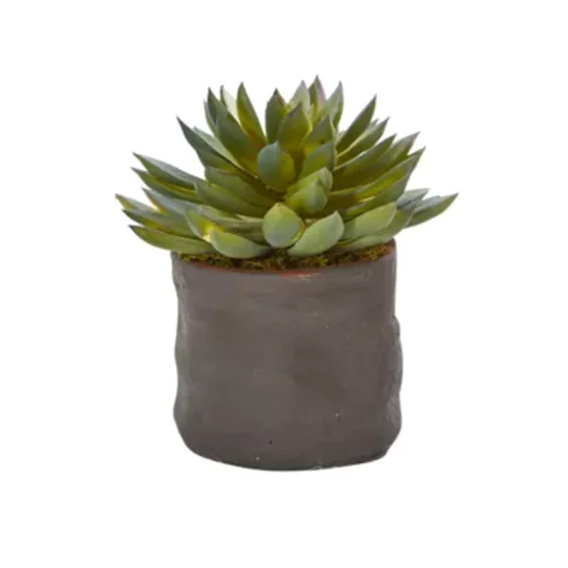Mixed Succulent Trio Artificial Plant (Set of 3)
