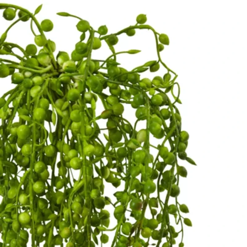 Senecio Artificial Succulent Plant; Set of 3