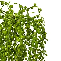 Senecio Artificial Succulent Plant; Set of 3