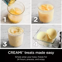 Ninja Creami Ice Cream Maker