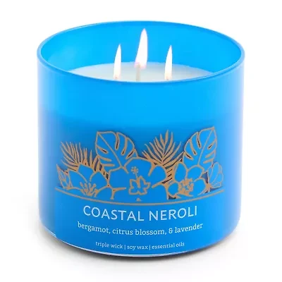 Distant Lands Scented Jar Candle