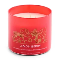 Distant Lands Scented Jar Candle