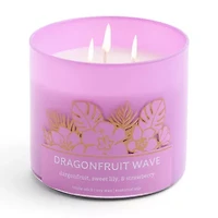 Distant Lands Scented Jar Candle