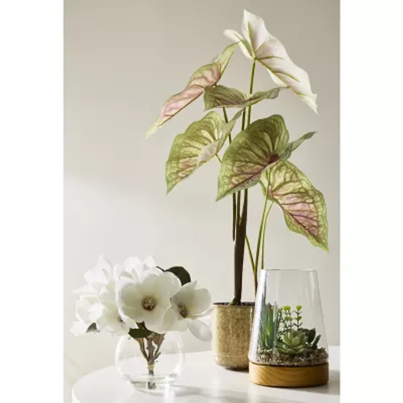 Linden Street 8in  White Magnolia Artificial Plant