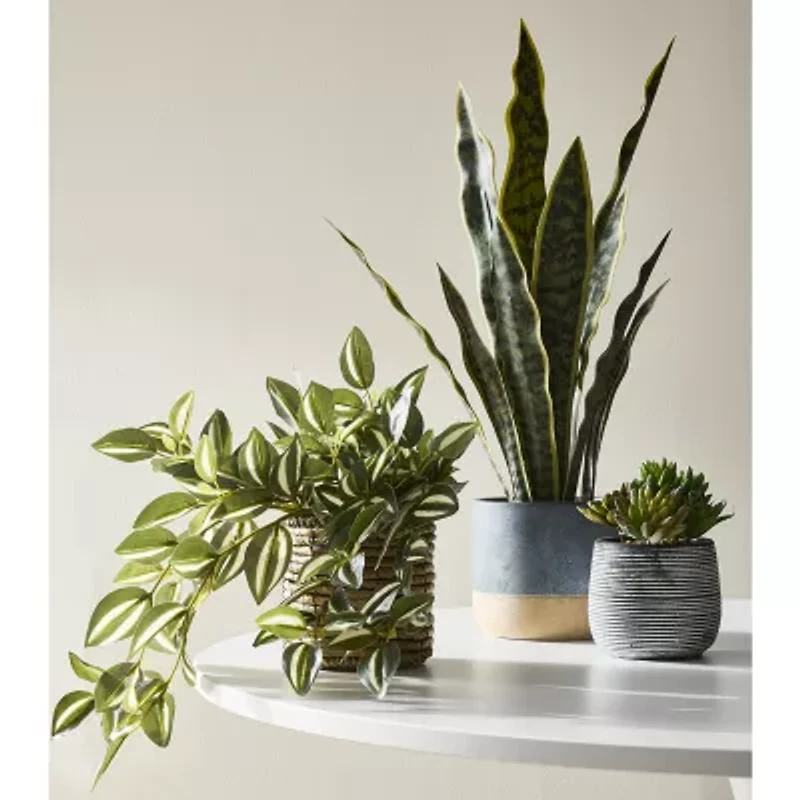 Linden Street 8in Tradescantia Trailing Artificial Plant