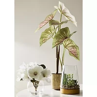 Linden Street 16.5in White Philodendron Artificial Plant