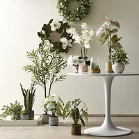 Linden Street 17in Alocasia Artificial Plant