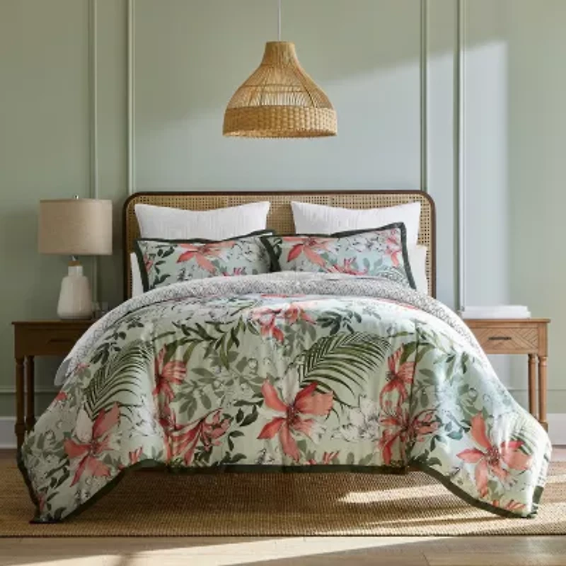 Liz Claiborne Ellis Reversible Euro Sham