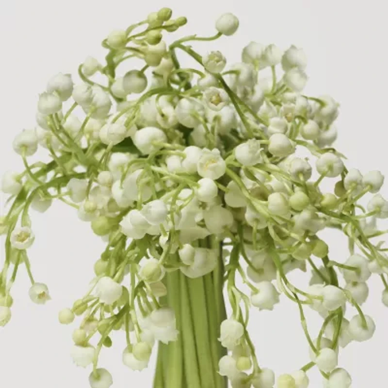 Donna Karan Cashmere Mist Mini Deodorant