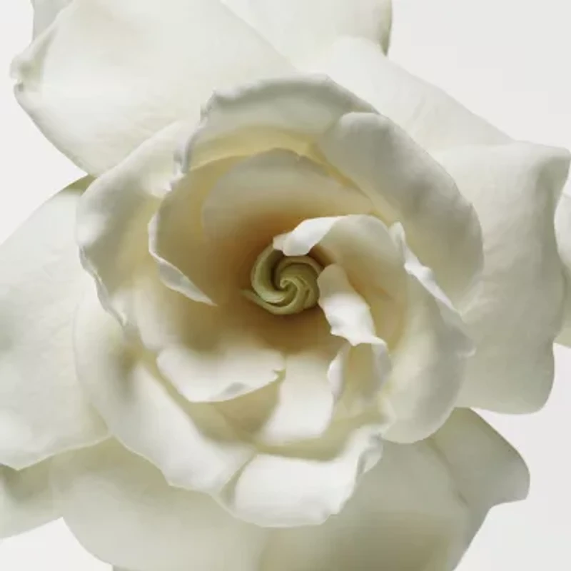 Donna Karen Cashmere Mist Lotion