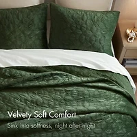 Madison Park Emery 3-Pc Velvet Quilt Set