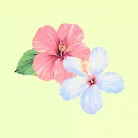 Grayson Threads, The Label Womens Juniors Crew Neck Short Sleeve Oversized Graphic T-Shirt