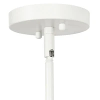 1-Light 9.25" Adjustable Hanging Cylindrical Clear Glass Pendant Light