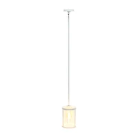1-Light 9.25" Adjustable Hanging Cylindrical Clear Glass Pendant Light