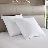 Martha Stewart Euro Pillow