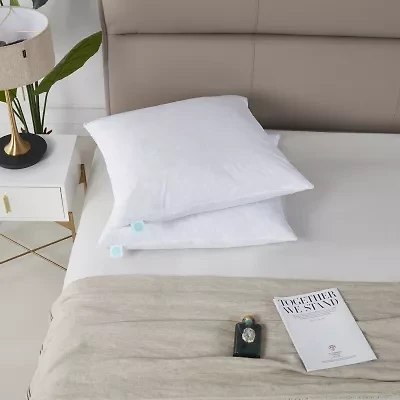 Martha Stewart Euro Pillow