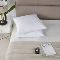 Martha Stewart Euro Pillow