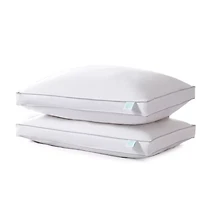 Martha Stewart Down 2-Pack Medium Density Bed Pillow